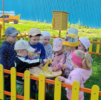 Увлекательный день Увлекательный день.