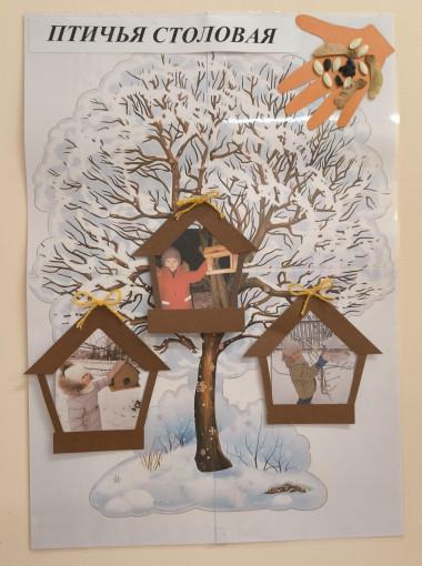 Кормим птиц зимой Кормим птиц зимой.